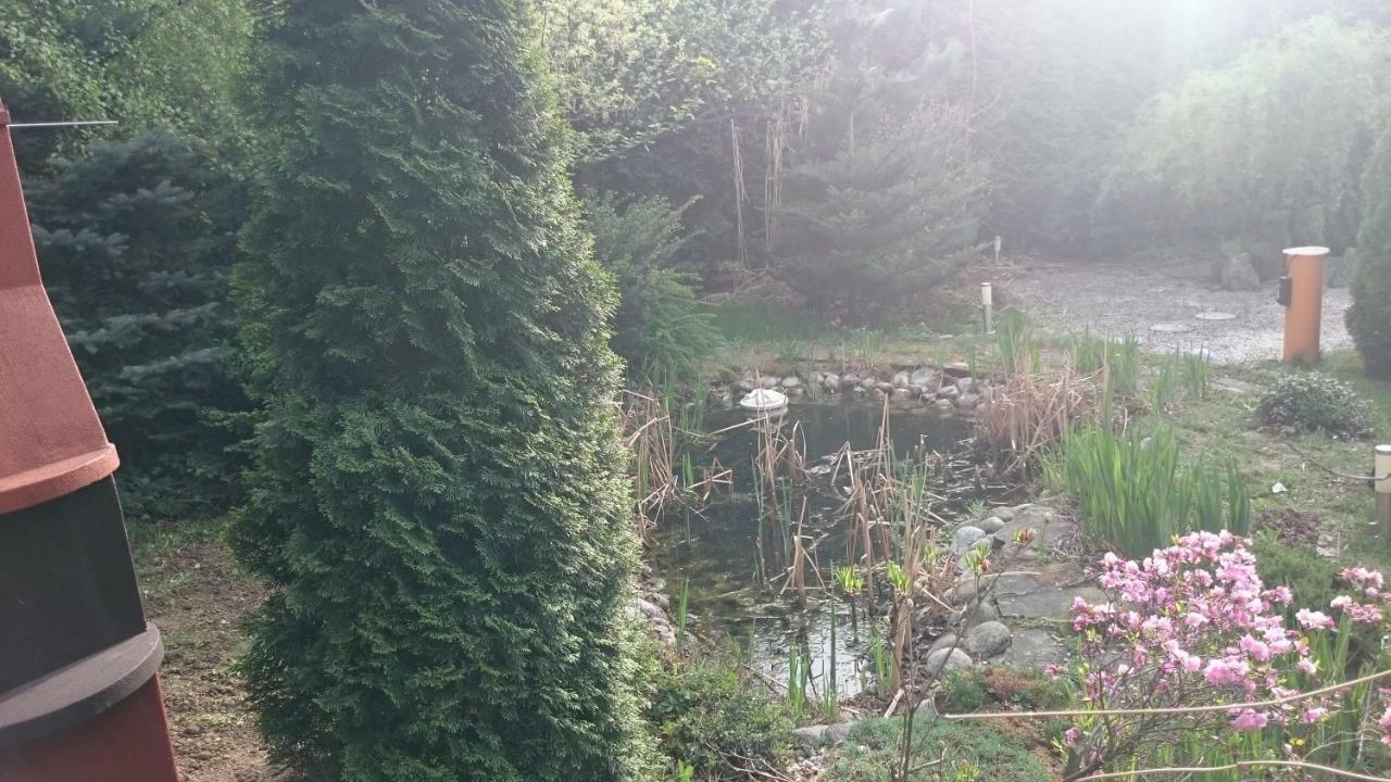 Bastowka 2 Apartamenty Ustroń Exteriör bild